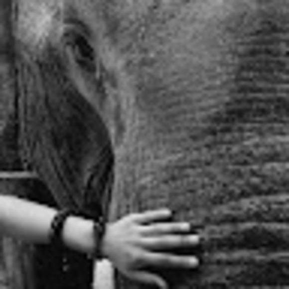 Meet your Posher, Sengtiane - Picture 1 of 1